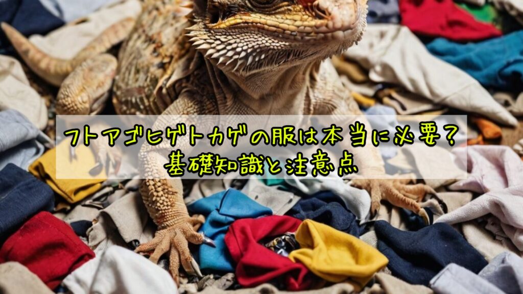 フトアゴヒゲトカゲの服は本当に必要？基礎知識と注意点
