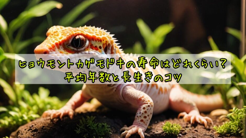 ヒョウモントカゲモドキの寿命はどれくらい？平均年数と長生きのコツ