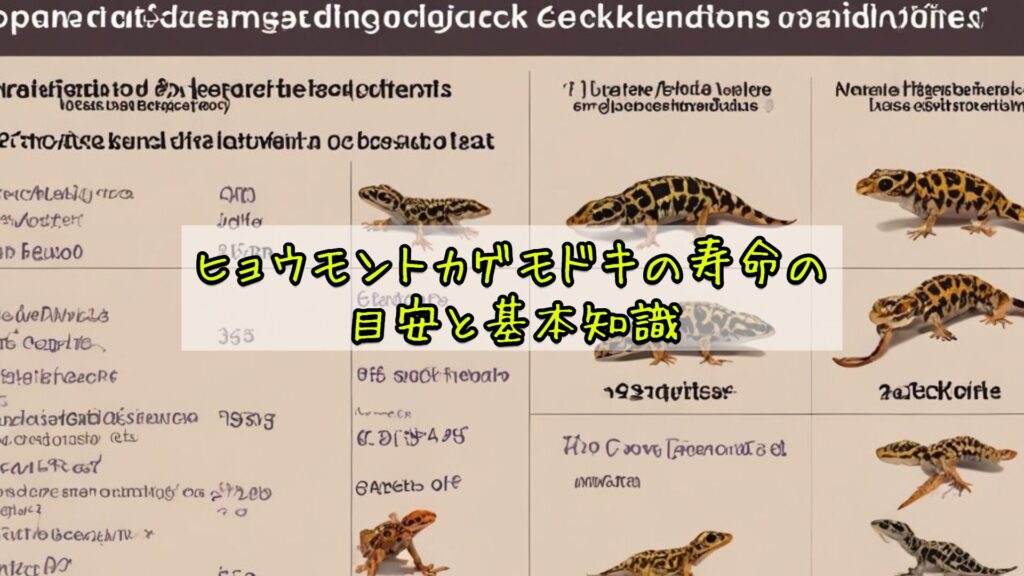 ヒョウモントカゲモドキの寿命の目安と基本知識