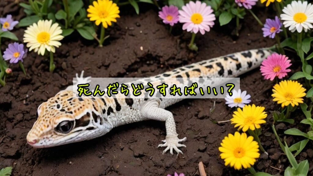 死んだらどうすればいい?