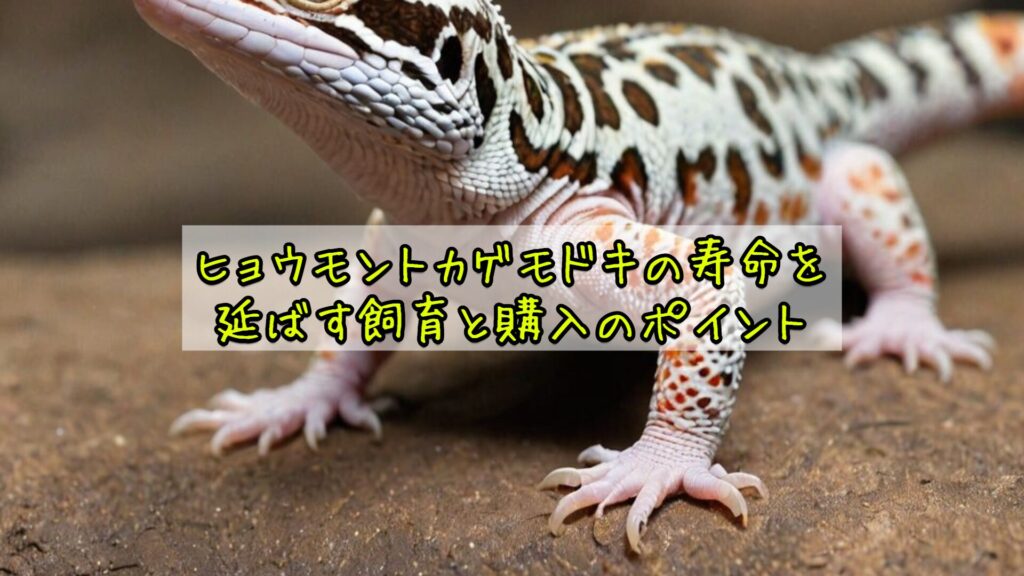 ヒョウモントカゲモドキの寿命を延ばす飼育と購入のポイント