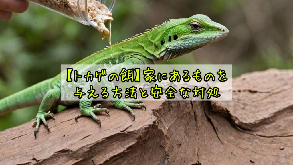 【トカゲの餌】家にあるものを与える方法と安全な対処