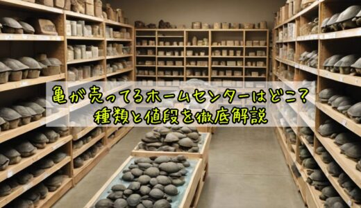 亀が売ってるホームセンターはどこ？種類と値段を徹底解説