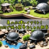 亀の水槽レイアウト！100均で揃う簡単おしゃれ飼育術
