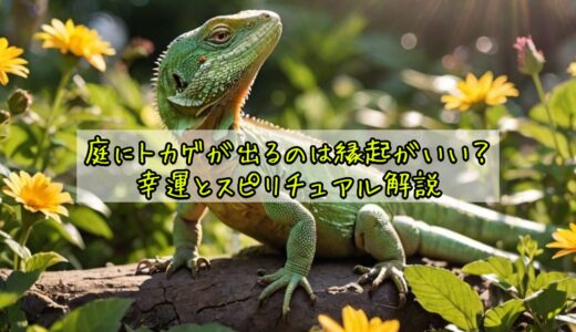 庭にトカゲが出るのは縁起がいい？幸運とスピリチュアル解説