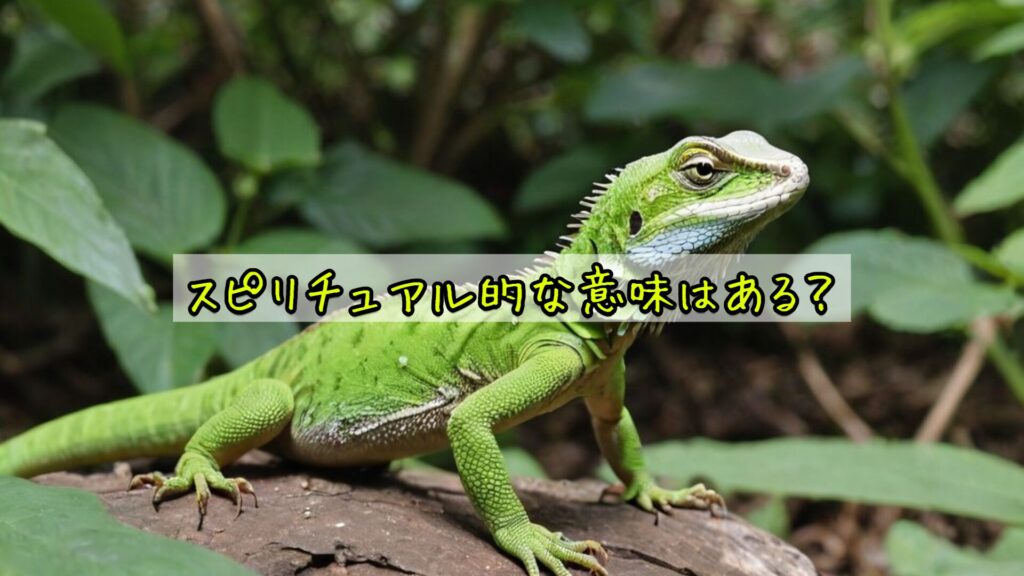 スピリチュアル的な意味はある？