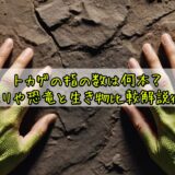 トカゲの指の数は何本？ヤモリや恐竜と生き物比較解説徹底