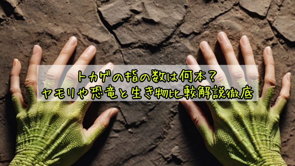 トカゲの指の数は何本？ヤモリや恐竜と生き物比較解説徹底