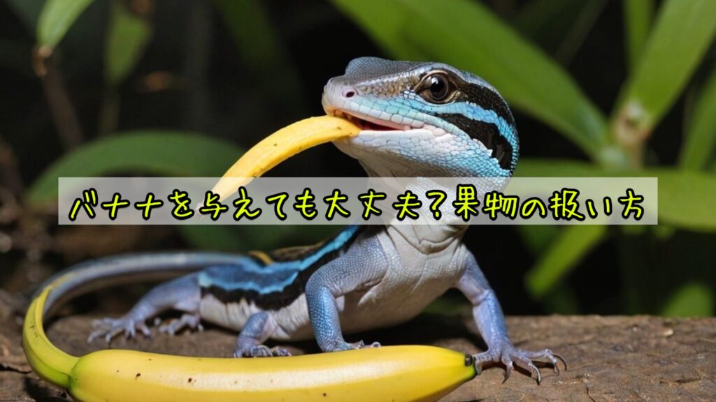 バナナを与えても大丈夫?果物の扱い方
