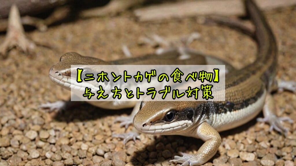 【ニホントカゲの食べ物】与え方とトラブル対策