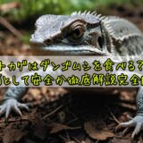 トカゲはダンゴムシを食べる？餌として安全か徹底解説完全版