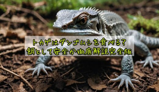 トカゲはダンゴムシを食べる？餌として安全か徹底解説完全版