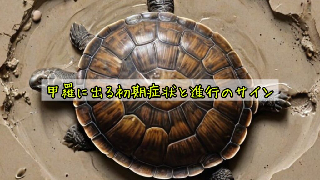 甲羅に出る初期症状と進行のサイン