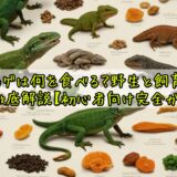 トカゲは何を食べる?野生と飼育の餌を徹底解説【初心者向け完全ガイド】