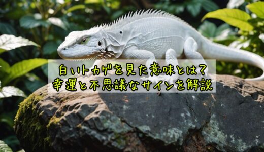 白いトカゲを見た意味とは？幸運と不思議なサインを解説