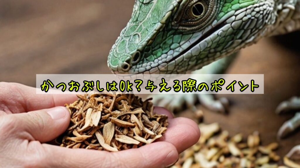 かつおぶしはOK?与える際のポイント
