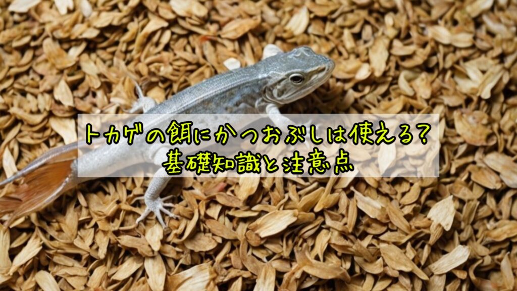 トカゲの餌にかつおぶしは使える?基礎知識と注意点