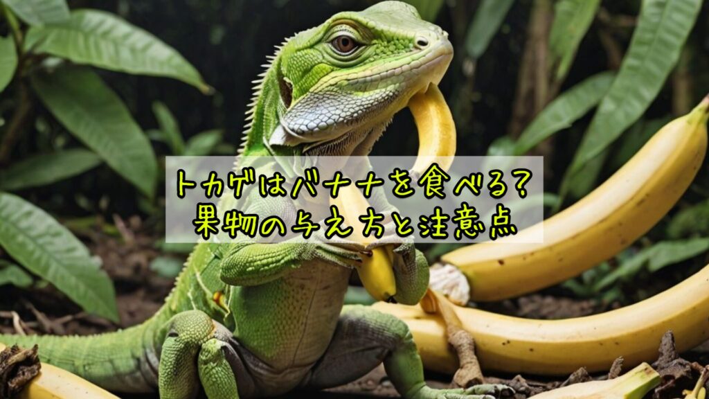 トカゲはバナナを食べる?果物の与え方と注意点