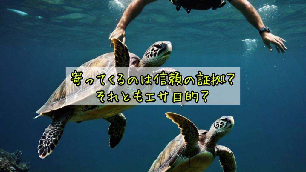 寄ってくるのは信頼の証拠？それともエサ目的？