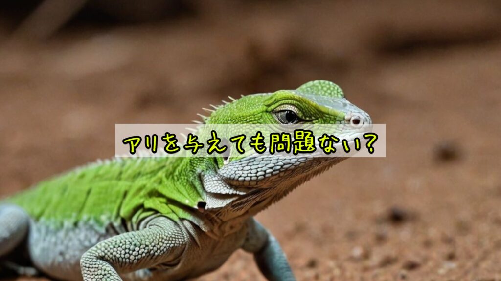 アリを与えても問題ない?