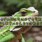トカゲの餌は虫以外でも可能?虫なし飼育の与え方と注意点完全