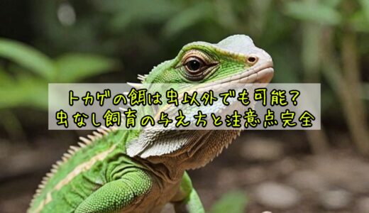 トカゲの餌は虫以外でも可能？虫なし飼育の与え方と注意点完全