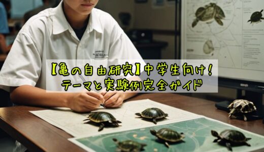 【亀の自由研究】中学生向け！テーマと実験例完全ガイド