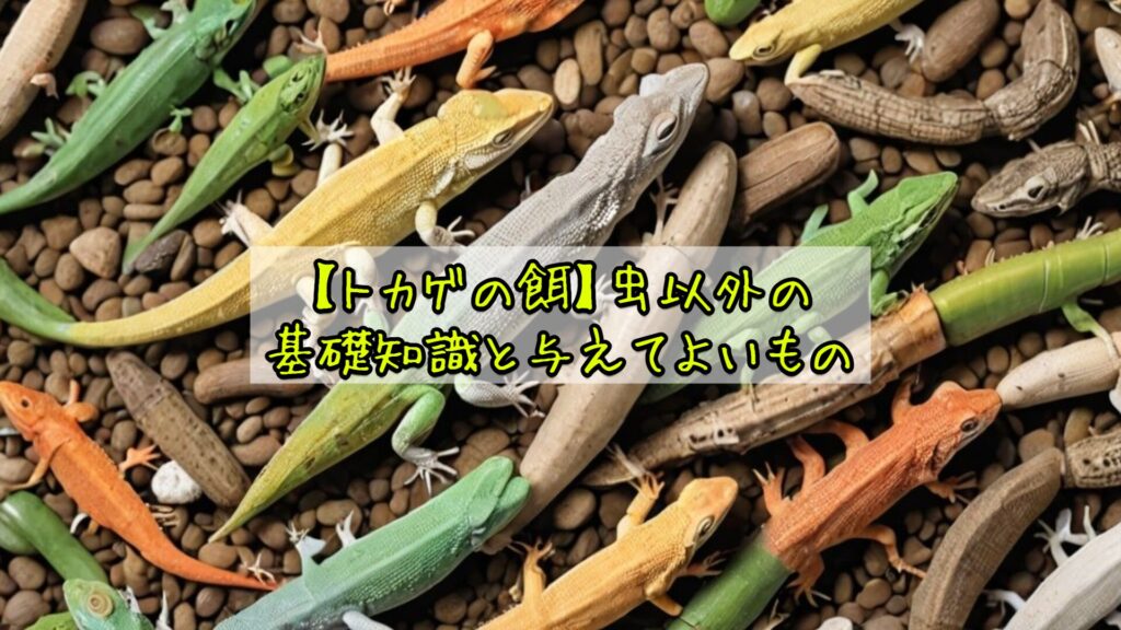 【トカゲの餌】虫以外の基礎知識と与えてよいもの