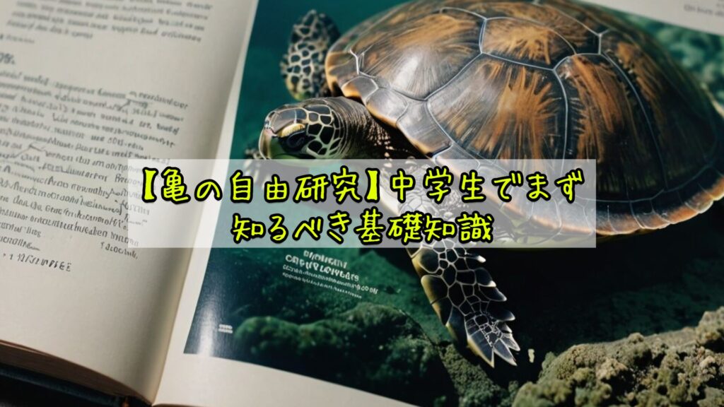 【亀の自由研究】中学生でまず知るべき基礎知識
