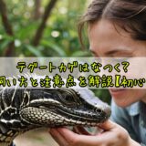 テグートカゲはなつく?性格や飼い方と注意点を解説【初心者向け】