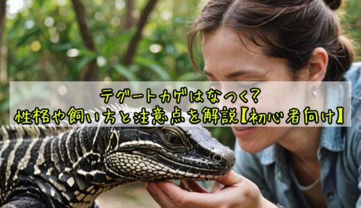 テグートカゲはなつく？性格や飼い方と注意点を解説【初心者向け】
