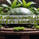 亀の陸地にレンガは使える？安全性と選び方・自作方法を解説徹底