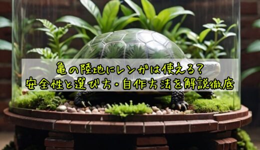 亀の陸地にレンガは使える？安全性と選び方・自作方法を解説徹底
