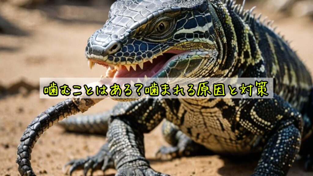 噛むことはある？噛まれる原因と対策
