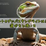 ニホントカゲにバスキングライトは必要？選び方と使い方