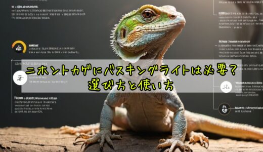 ニホントカゲにバスキングライトは必要？選び方と使い方