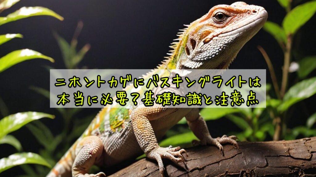 ニホントカゲにバスキングライトは本当に必要？基礎知識と注意点