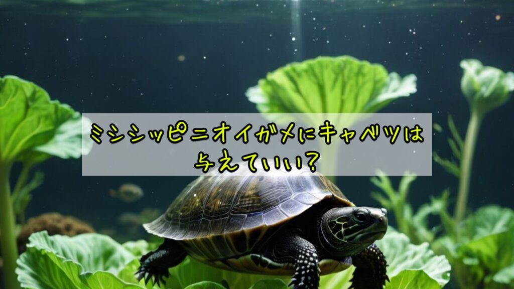 ミシシッピニオイガメにキャベツは与えていい？