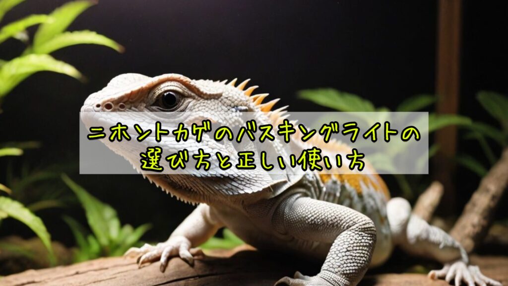 ニホントカゲのバスキングライトの選び方と正しい使い方