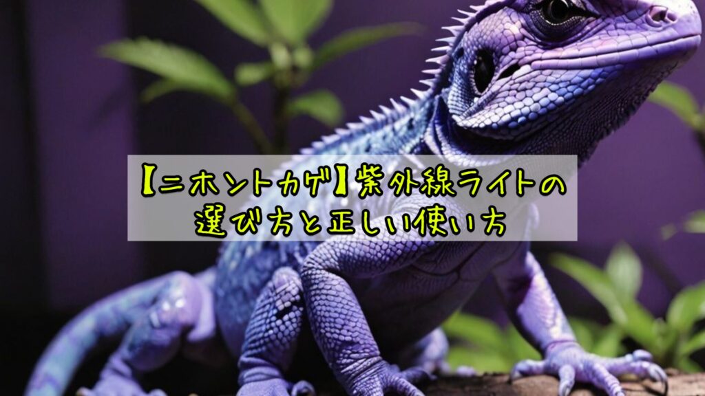 【ニホントカゲ】紫外線ライトの選び方と正しい使い方