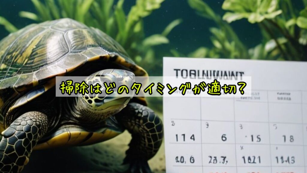 掃除はどのタイミングが適切？