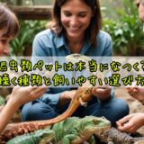 爬虫類ペットは本当になつく？懐く種類と飼いやすい選び方