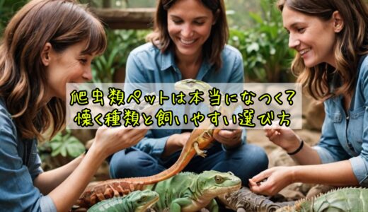 爬虫類ペットは本当になつく？懐く種類と飼いやすい選び方