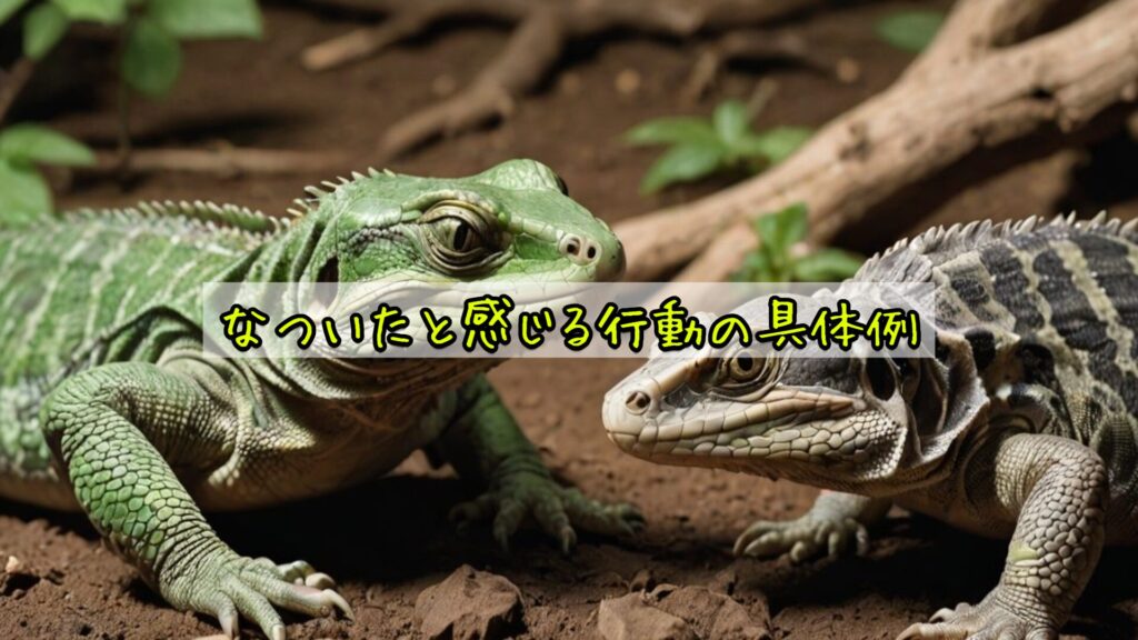 なついたと感じる行動の具体例