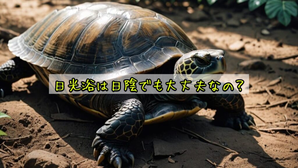 日光浴は日陰でも大丈夫なの？