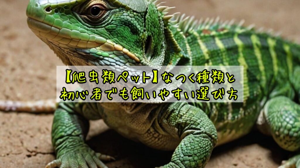 【爬虫類ペット】なつく種類と初心者でも飼いやすい選び方