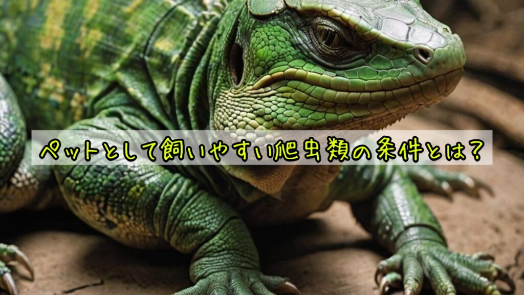 ペットとして飼いやすい爬虫類の条件とは？