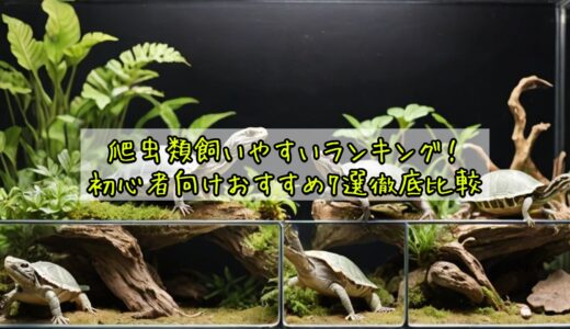 爬虫類飼いやすいランキング！初心者向けおすすめ7選徹底比較