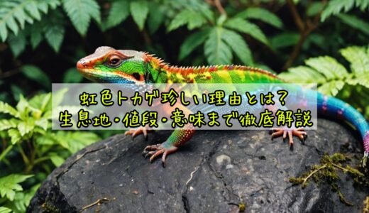 虹色トカゲ珍しい理由とは？生息地・値段・意味まで徹底解説