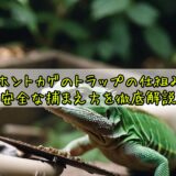 ニホントカゲのトラップの仕組みと安全な捕まえ方を徹底解説
